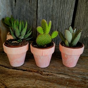 Small Pink Marble Handpainted Terra Cotta Pots